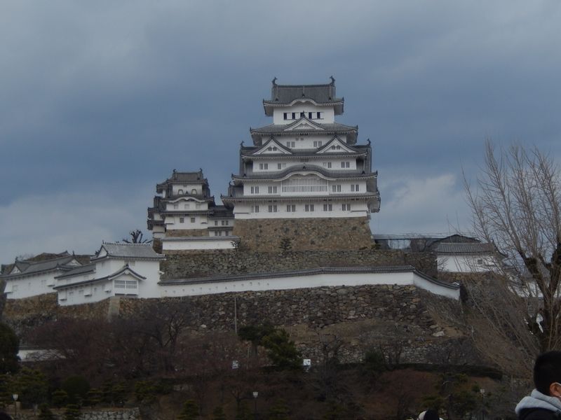 Himeji Private Tour - One of very few wooden castle