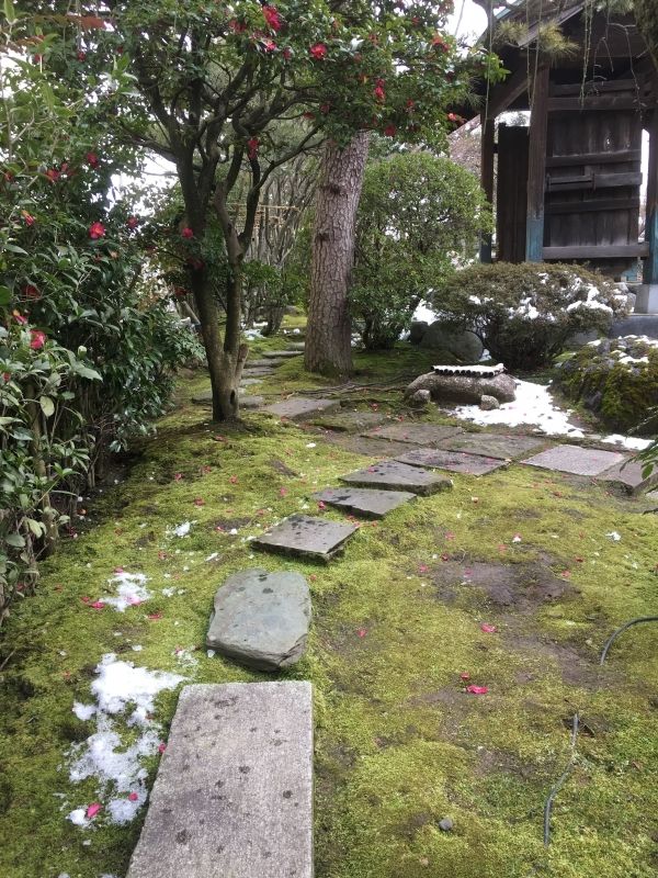 Toyama Private Tour - Thoughtfully placed stone steps - Rakusui-tei Museum