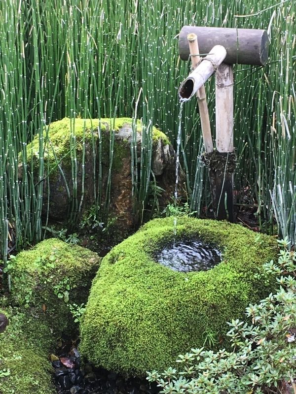 Toyama Private Tour - Vivid green water basin - Rakusui-tei Museum