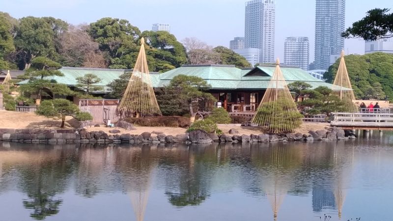 Tokyo Private Tour - Hama-Rikyu Gardens