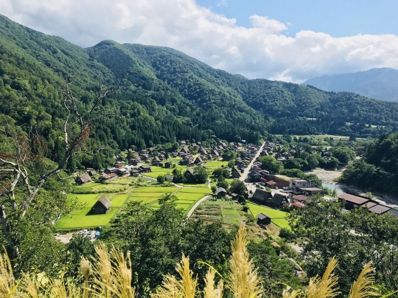 Shirakawago Private Tour - null