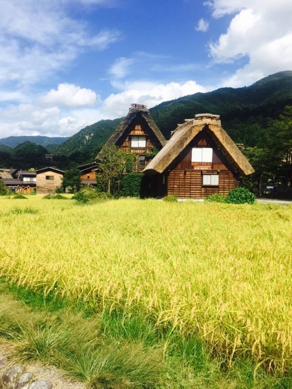 Shirakawago Private Tour - null