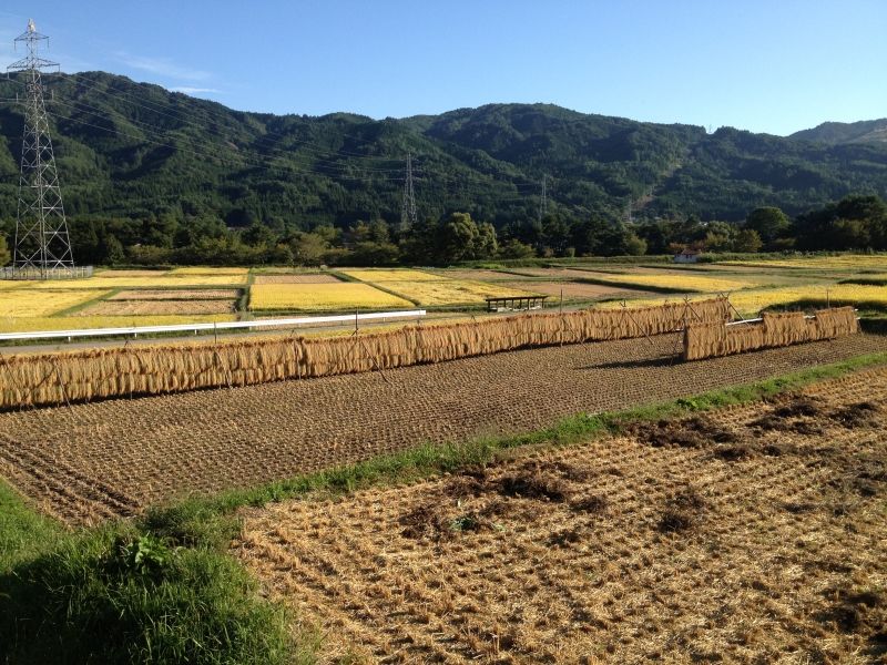 Takayama Private Tour - null