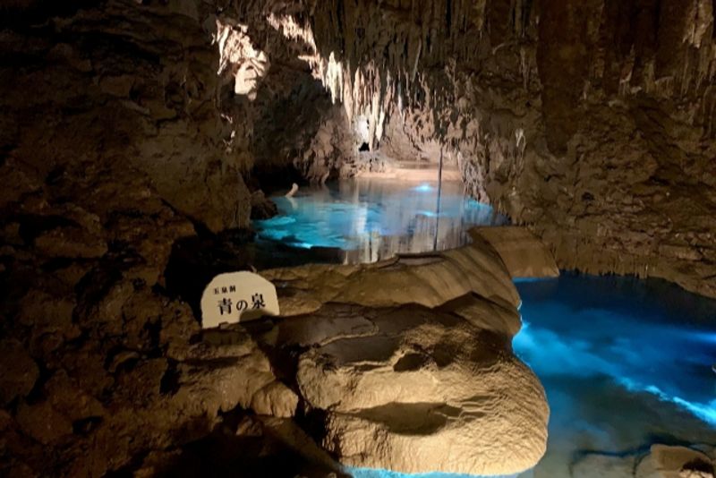 Okinawa Main Island Private Tour - Okinawa World / limestone cave