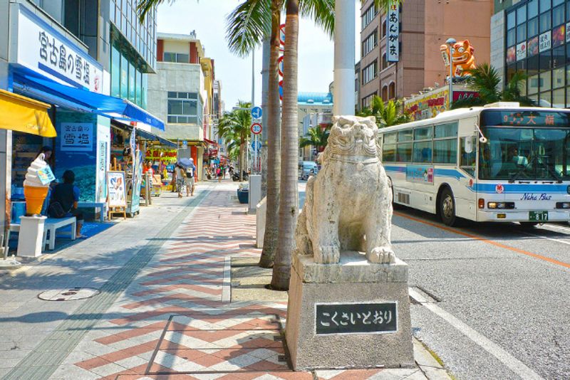 Okinawa Main Island Private Tour - Kokusai Street (International street)