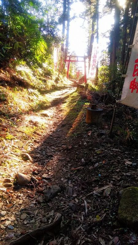 Saitama Private Tour - There are also Shinto Shrines around there, even in the forest!