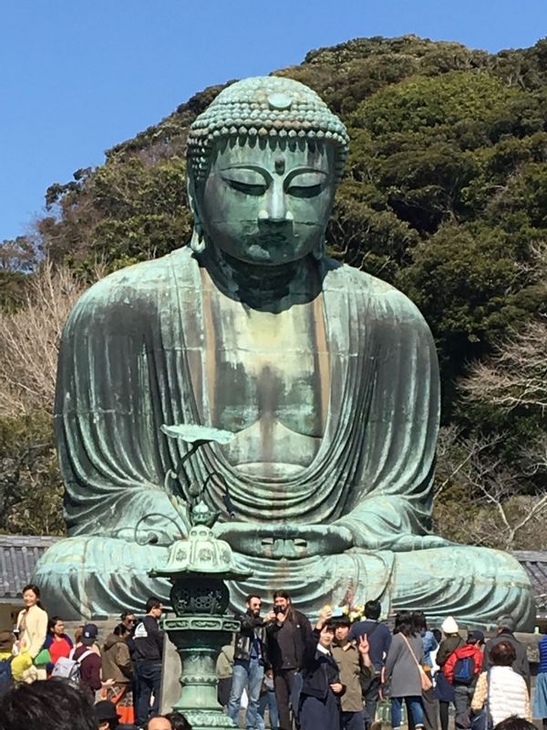 Kanagawa Private Tour - The big Buddha in Kamakura has been sitting for over 700 years! The statue itself is much older than that in Nara.