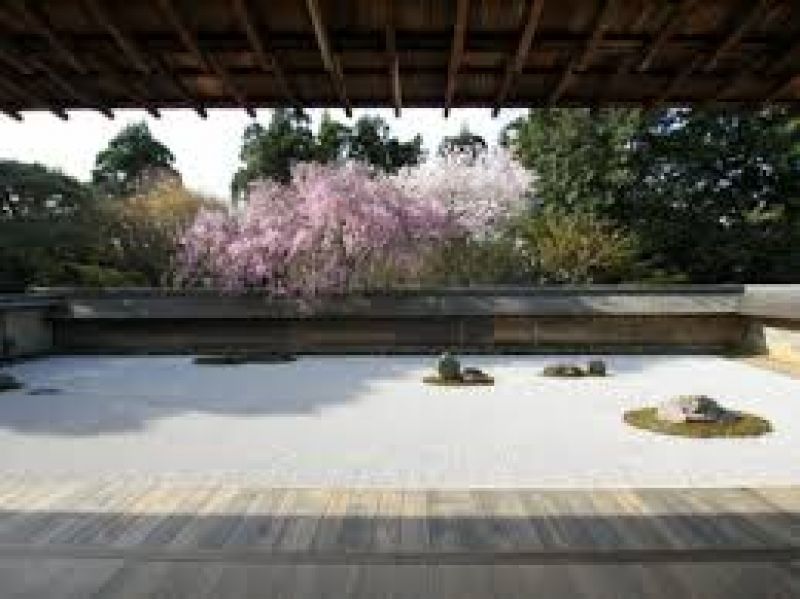 Kyoto Private Tour - It's open to your imagination at Ryoan-ji temple.