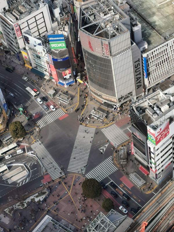 Tokyo Private Tour - View of the Shibuya Scramble Crssing