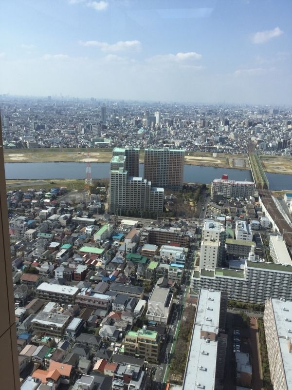 Chiba Private Tour - You can see 360' view of suburban Tokyo if the air is clear.