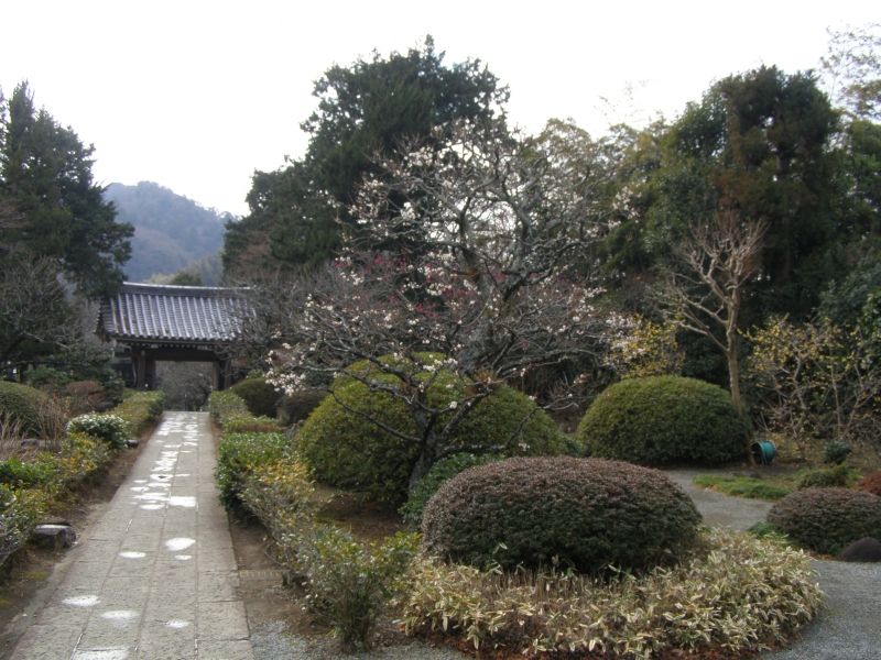 Kamakura Private Tour - null