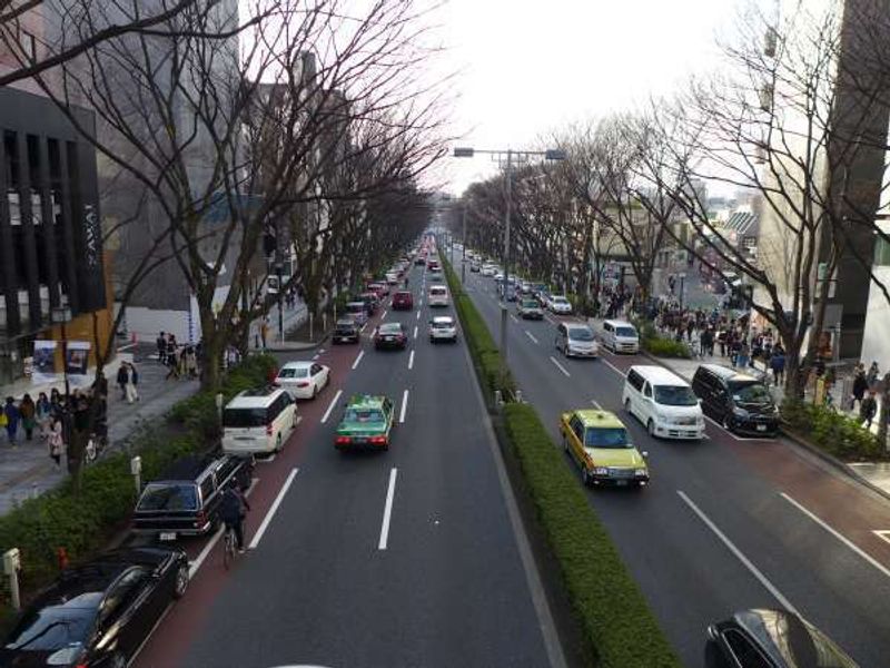 Tokyo Private Tour - View from a pedestrian bridge of Omote Sado