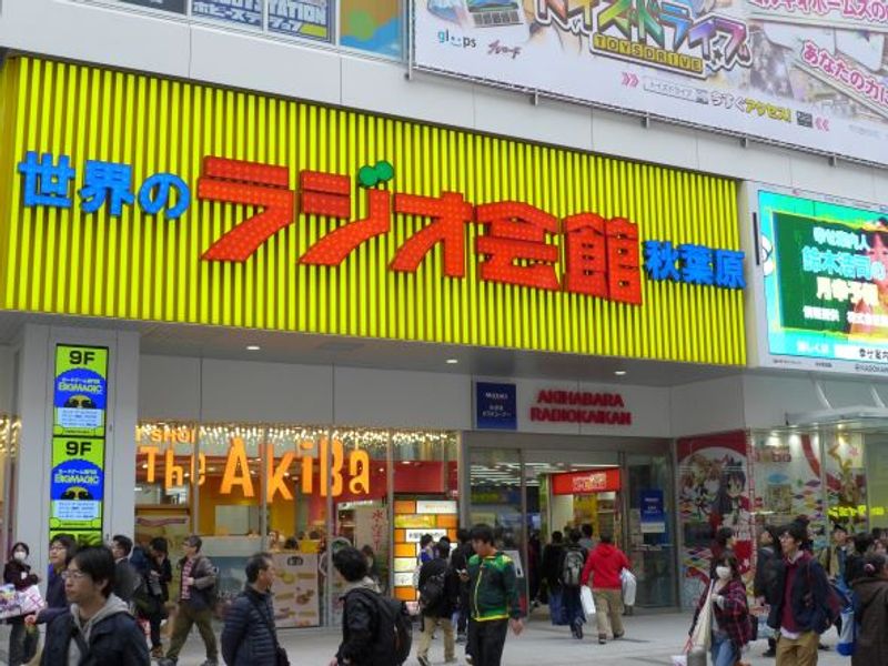 Tokyo Private Tour - The building that covers most categories of sub-culture products in Akihabara.