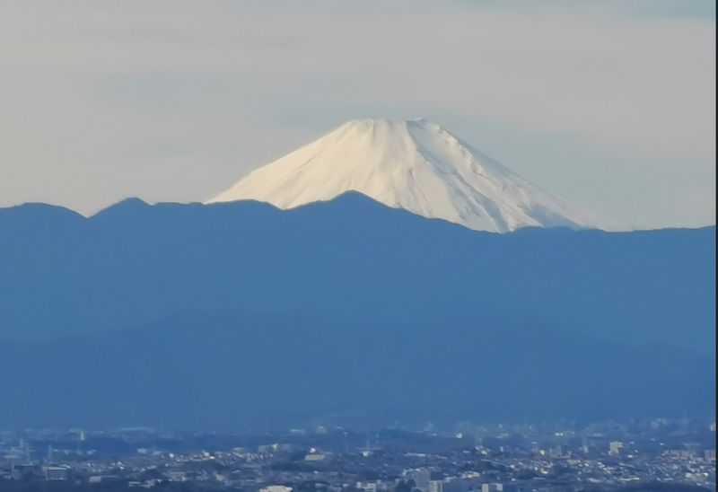 Tokyo Private Tour - Panorama view from the Shibuya Sky (guests need to make reservation from the official site by themselves in advance)