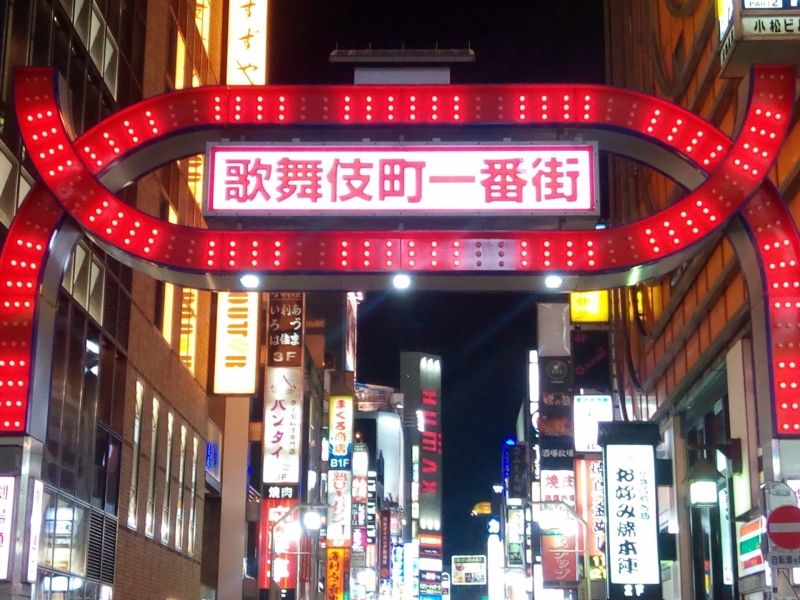 Tokyo Private Tour - If you want night life in Tokyo, Shinjuku is the answer. Also here, a various kinds of new activities available.