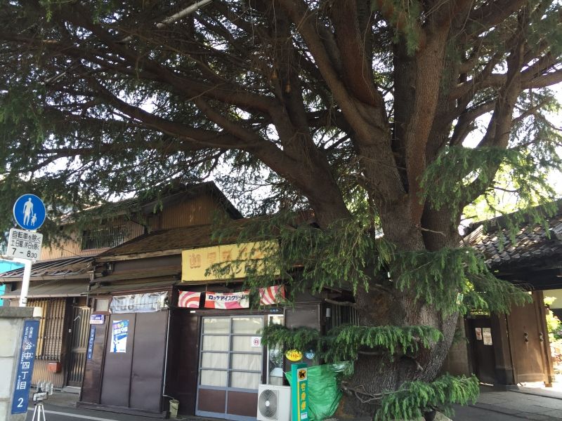 Tokyo Private Tour - Yanak is local Shitamachi (downtown) area, retaining the old town atmosphere. Get lost in small narrow alleys.