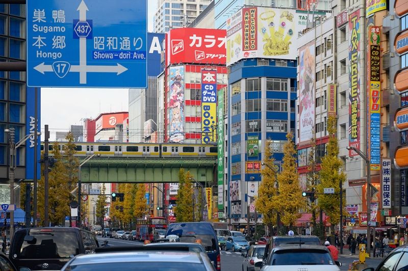 Tokyo Private Tour - Akihabara electric town. Sub-culture (Otaku) Mecca!