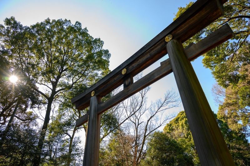 Tokyo Private Tour - Meiji-jingu shrine. Surrounded by 100 years forest. Sacred atmosphere in the very center of town.