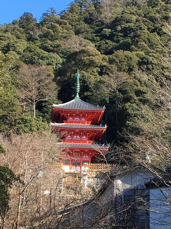 Nagoya Private Tour - Pagda in Gifu park