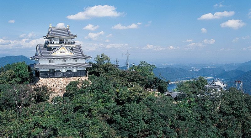 Nagoya Private Tour - Gifu castle