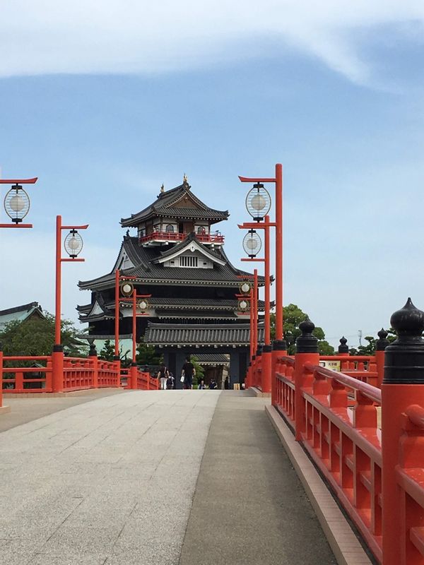 Aichi Private Tour - Over look Kiyosu castle from oppsite side Gojo-river