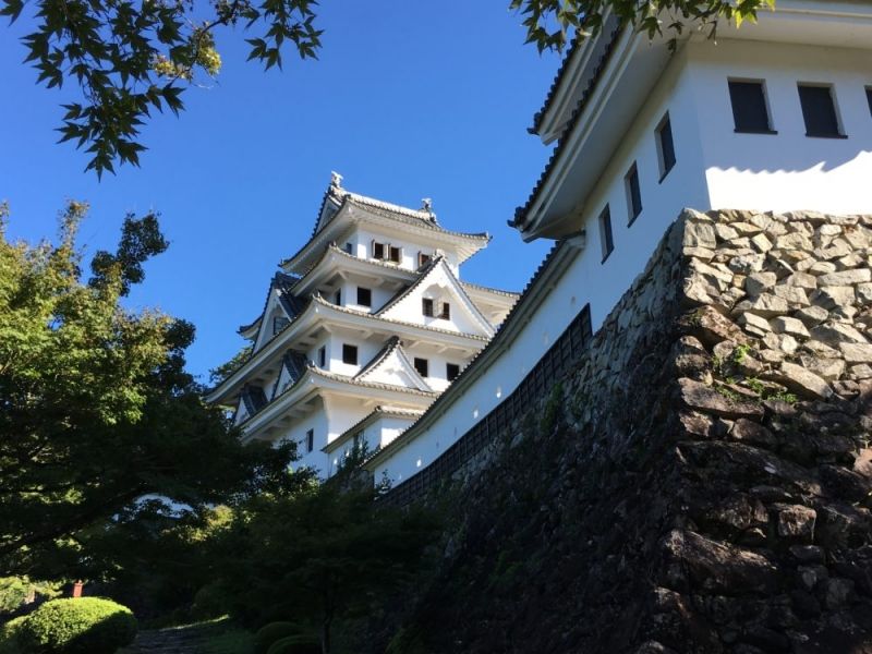 Gifu Private Tour - Gujo Hachiman castle