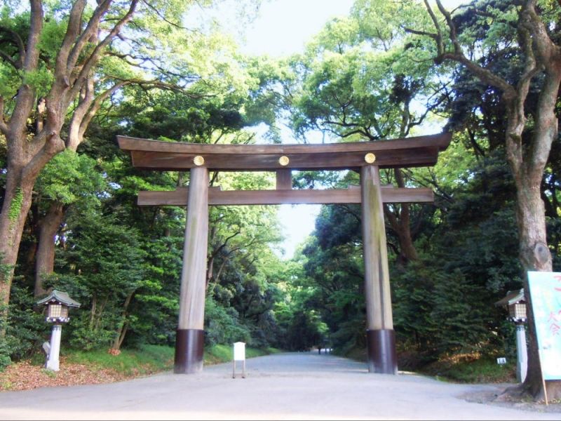 Tokyo Private Tour - This is the picture of 1st entrance Torii gate of Meiji Jingu.  After walking on a gravel path, there is Meiji Jingu Shinto Shrine.