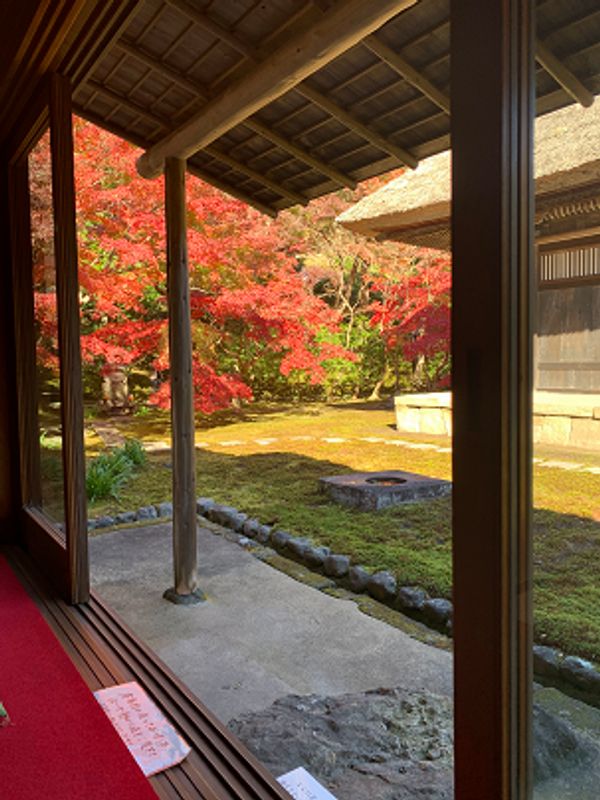 Kamakura Private Tour - null