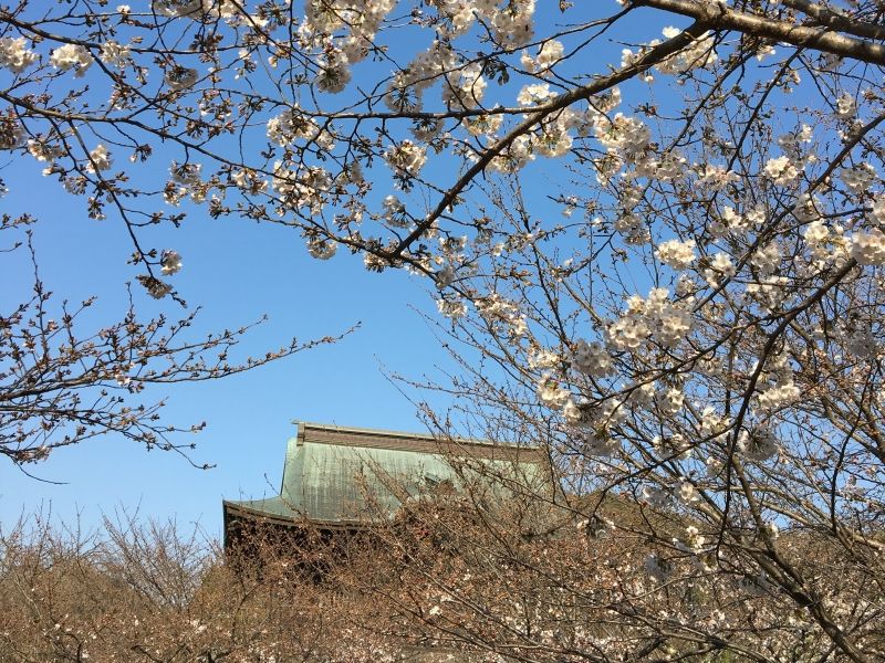 Kamakura Private Tour - Kenchoji temple