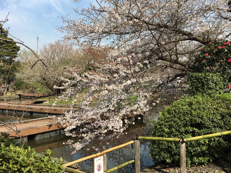 Kamakura Private Tour - null