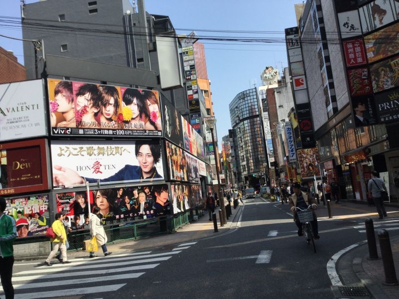 Tokyo Private Tour - Kabukicho night club district