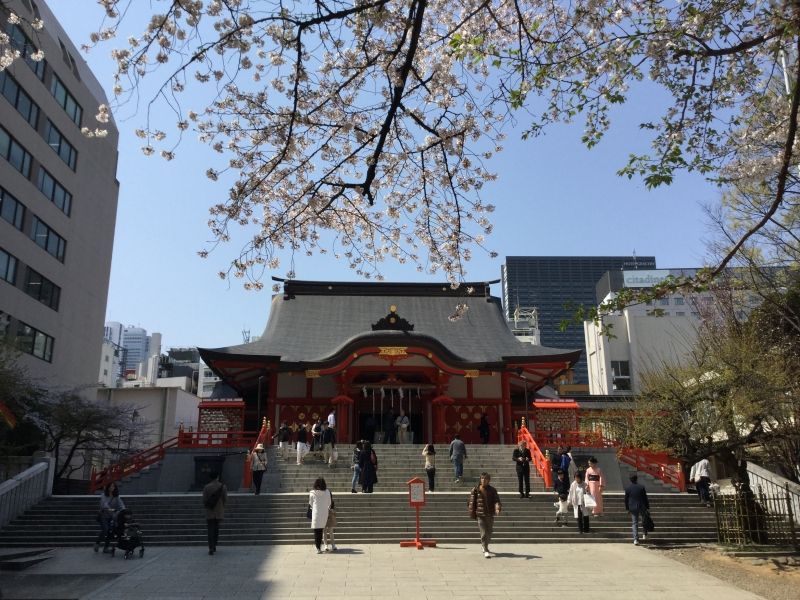 Tokyo Private Tour - Hanazono Shrine 