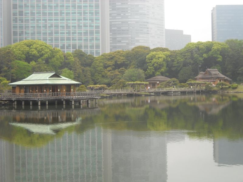 Tokyo Private Tour - At Hamarikyu garden : Historical Japanese style garden established 300 years ago.