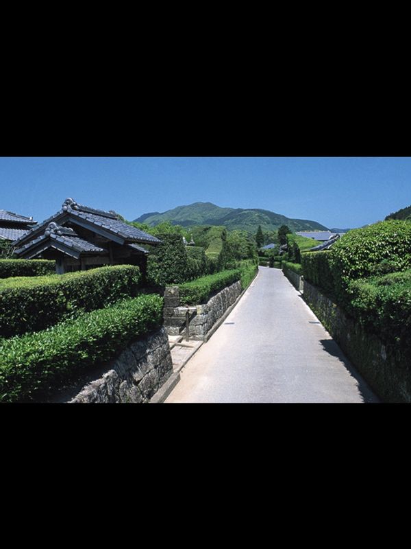 Kagoshima Private Tour - Chiran Samurai Residences and its gardens