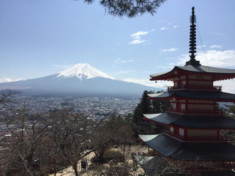 Tokyo Private Tour - 【Option】 Arakurayam Sengen Shrine's hill top observatory with 5 story pagoda. We walk up 398 steps.