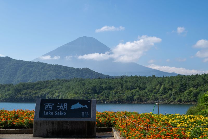 Tokyo Private Tour - 【Option】Saiko Lake - quiet, lesser visitors area