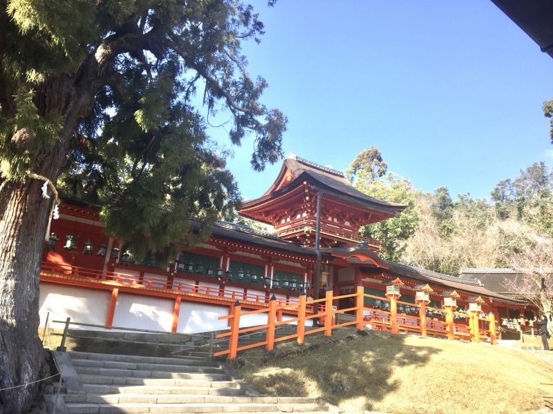 Nara Private Tour - null