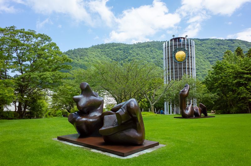 Tokyo Private Tour - (Option A) Hakone Open-air Museum : Incredibly unique art works in nature!