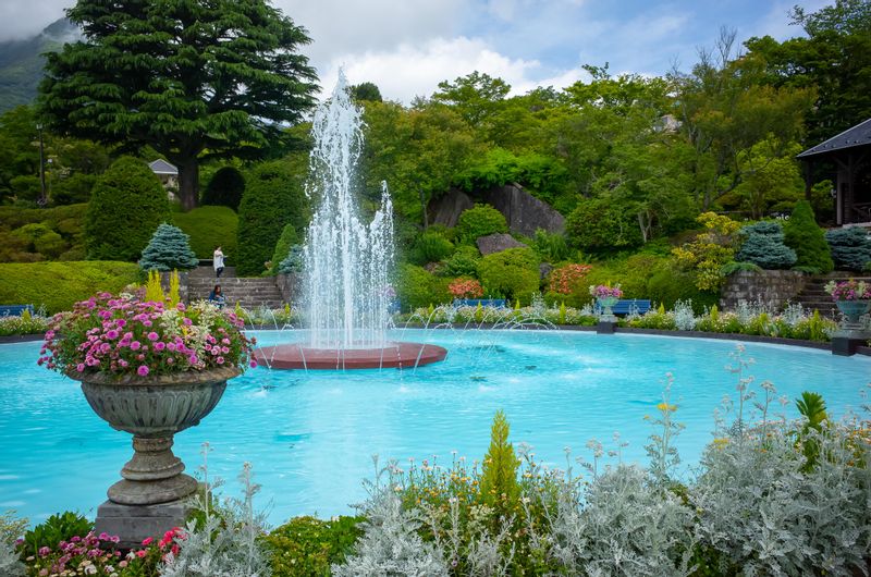 Tokyo Private Tour - (Option B) Gora park. There are a lot of beautiful parks and museums in Hakone.