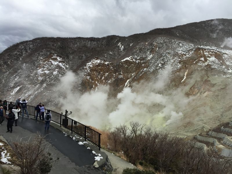 Tokyo Private Tour - Owakudani Valley is an active volcanic zone where sulfurous fumes coming out. Enjoy black boiled egg, which is said to  give you 7 years longevity each.