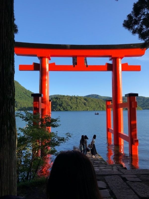 Hakone Private Tour - Torii Gate of Hakone Shrine standing in Lake Ashi, famous as power spot