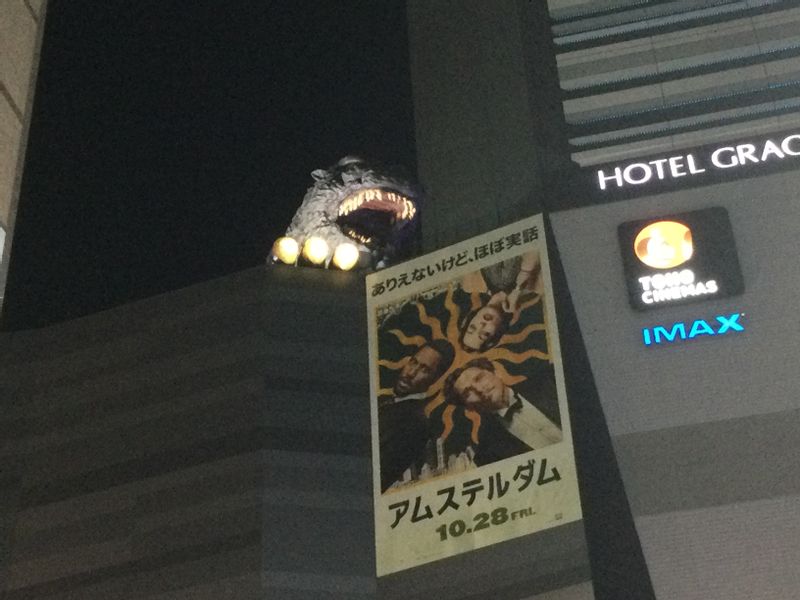 Tokyo Private Tour - Godzilla is watching you