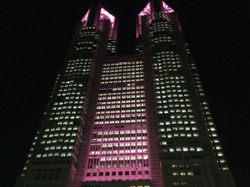 Tokyo Private Tour - Metropolitan government building at night