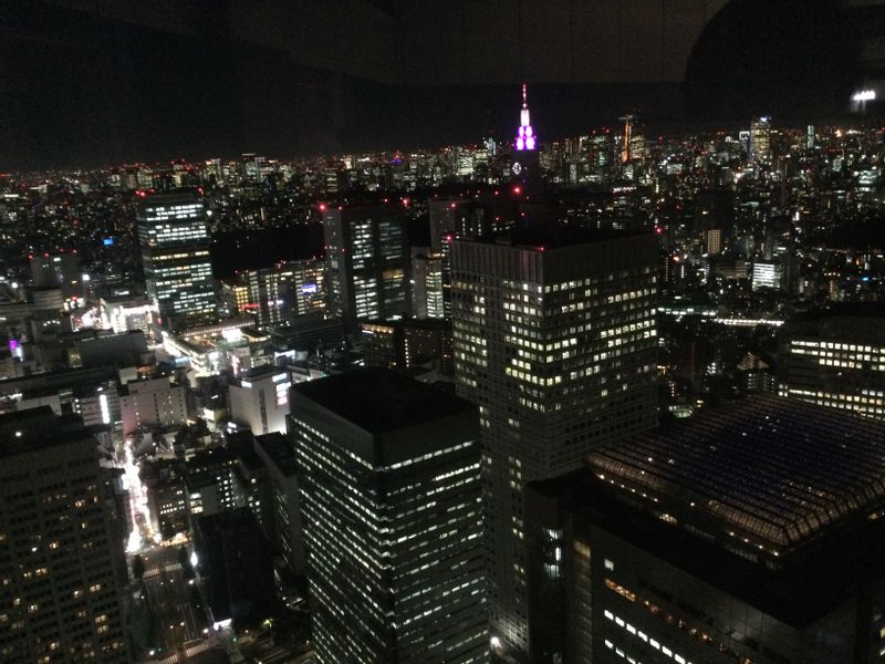 Tokyo Private Tour - Shinjuku area from the observatory