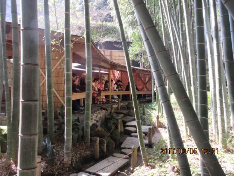 Kamakura Private Tour - Hokokuji Temple (famous for a beautiful bamboo garden)