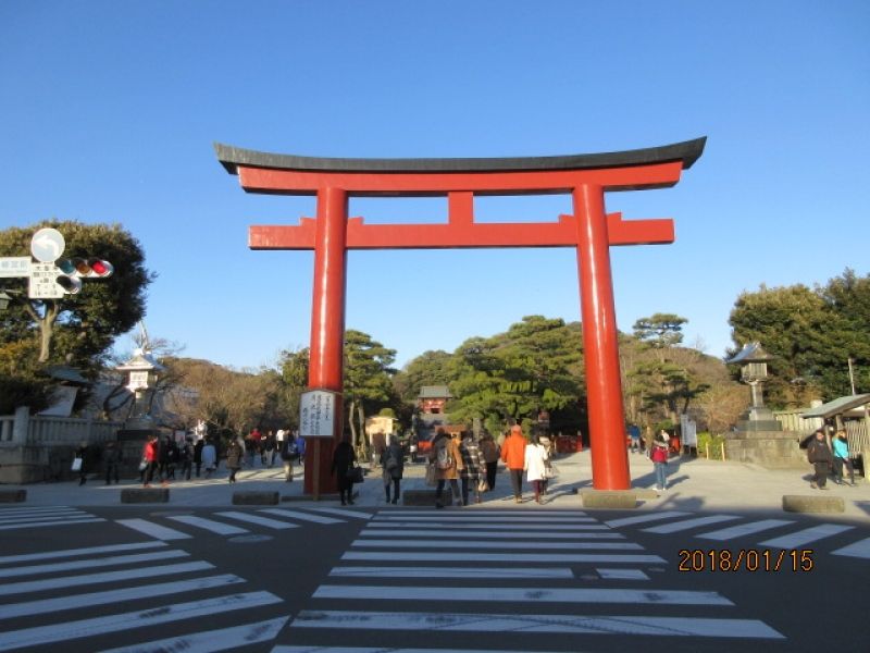 Kamakura Private Tour - Tsurugaoka Hachimangu Shrine)