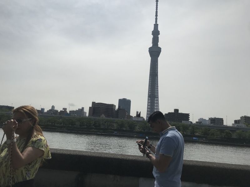 Tokyo Private Tour - Tokyp Sky Tree