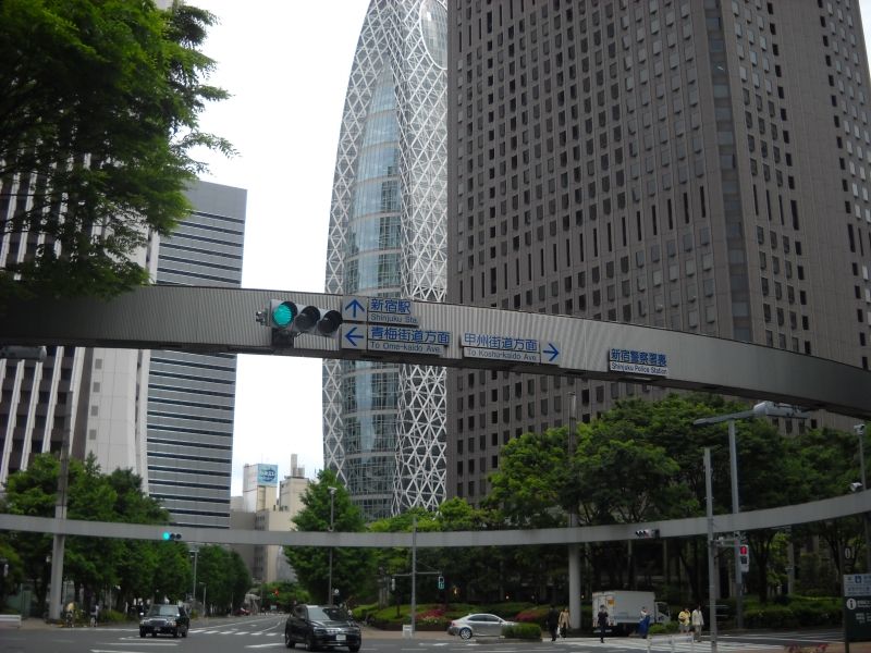 Tokyo Private Tour - Impressive intersection in Shinjuku