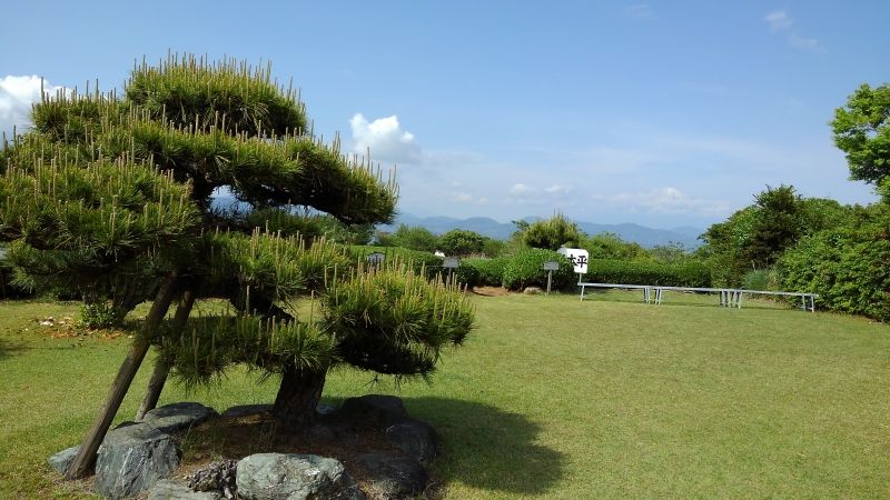 Shimizu Private Tour - Nihon Daira High Plateau