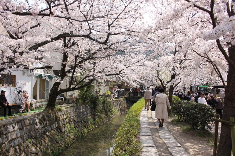 Kyoto Private Tour - null